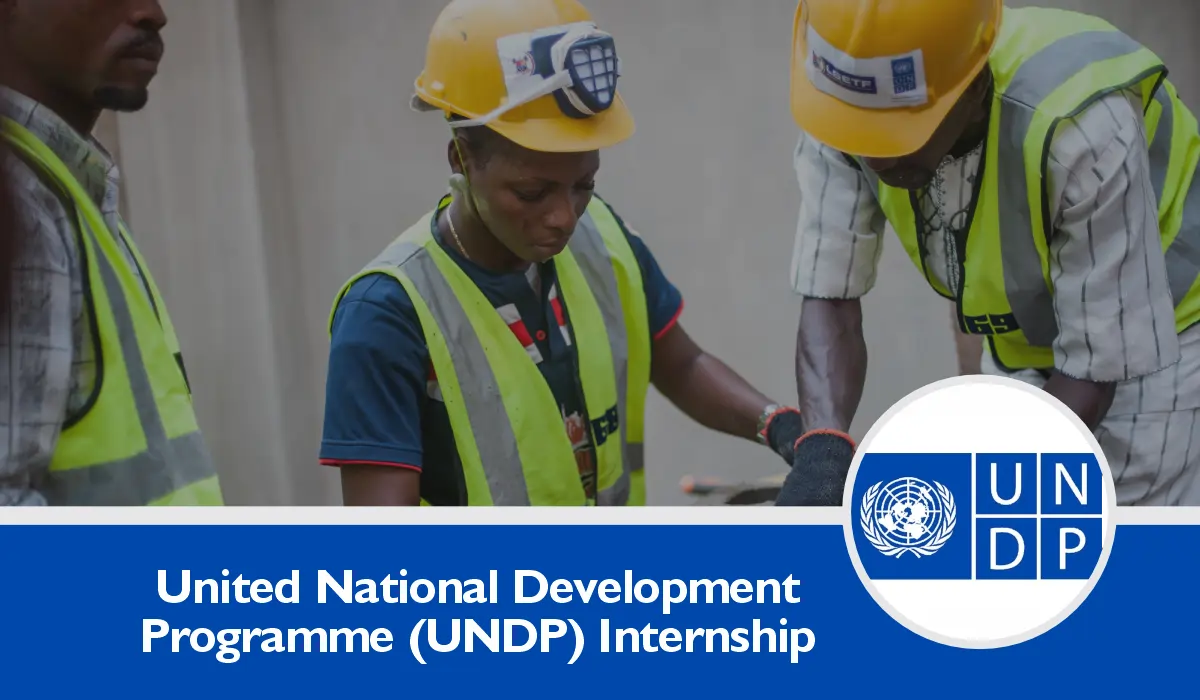 UNDP Internship (July 2024) Requirements, Online Application