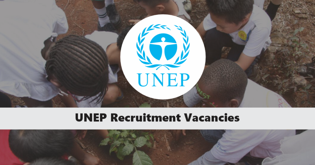 UNEP Recruitment 2024 Open Jobs/Vacancies Application