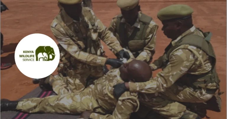 KWS Recruitment for Civilian Vacancies (October 2024)