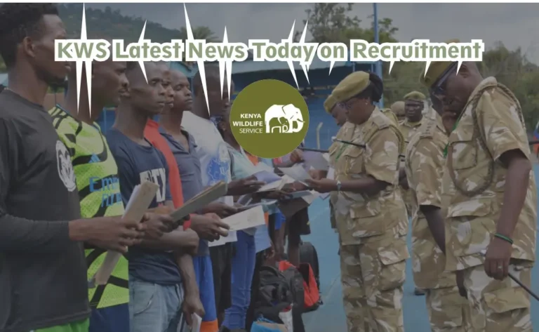 KWS Latest News Today on Recruitment (October 2024)