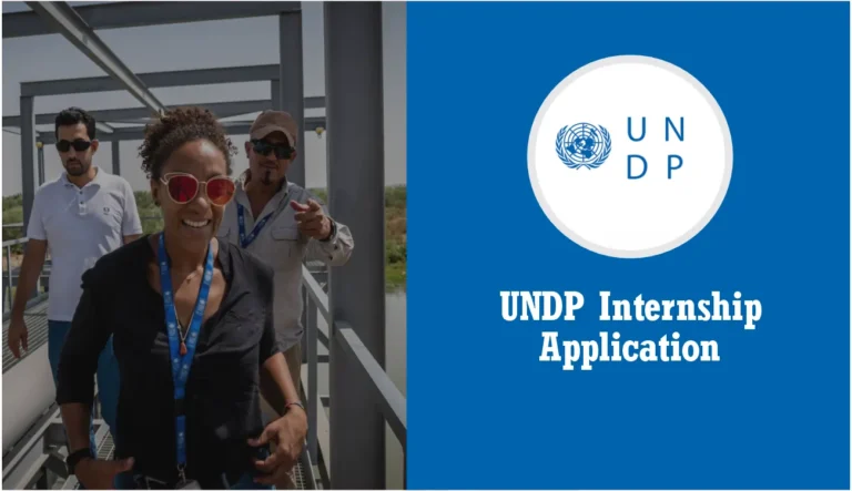 UNDP Internship (August 2024) Requirements, Online Application