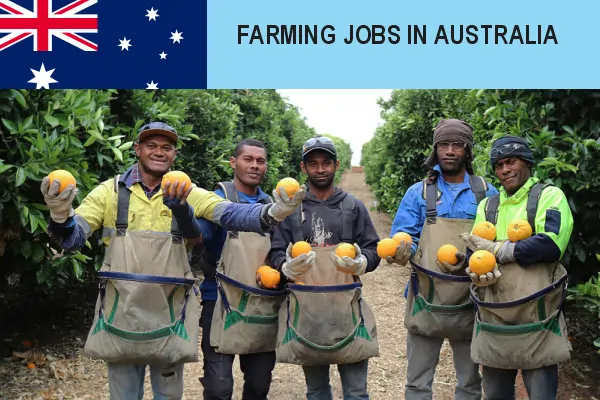 Farming Jobs in Australia with Visa Sponsorship 2024