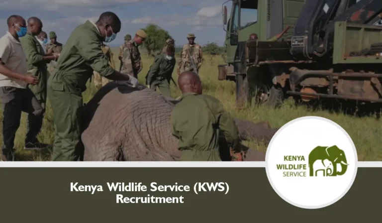 KWS Recruitment 2024/2025 Dates, Application Form Portal