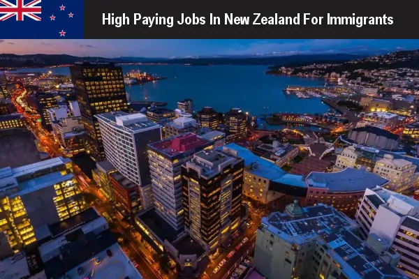 Top 5 High Paying Jobs in New Zealand for Immigrants 2024