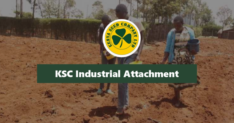 Kenya Seed Company Industrial Attachment 2024/2025 Application Form Portal